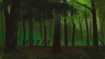 Nous étions dans la forêt